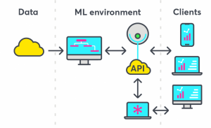Machine Learning as a Service (MLaaS)