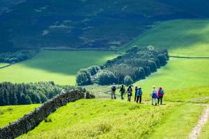 Tour Scotland and Ireland with a small group of Spiritual Travel Enthusiasts
