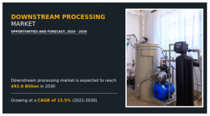 global Downstream Processing Market 2030