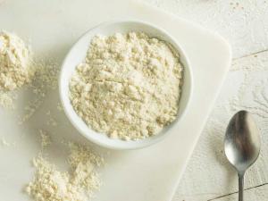 Whey Protein Isolates Market