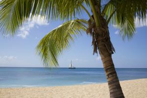 Luxury Vacation Rentals Barbados