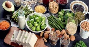 Protein Ingredients Market Overview