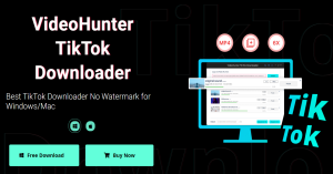 A powerful TikTok video downloader to help you save video clips without watermarks