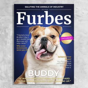 Pet Magazine Cover Furbes