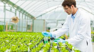 Agriculture Biologicals Testing Market Size