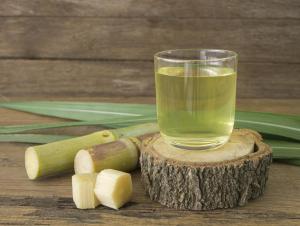 Sugarcane Syrup Market Size