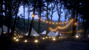 Solight Canada - Camping - Very Off The Grid