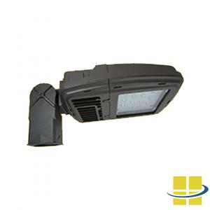 CARA LED Area/Flood/Wall Light from AccessFixtures.com