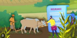 Crop and Livestock Insurance