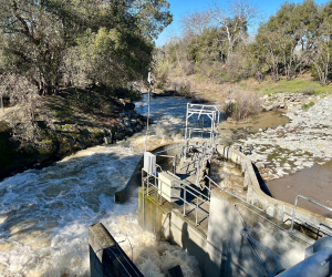 Coyote Creek Dam and Creek - Preconstruction
