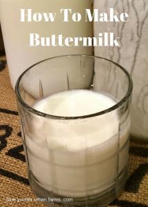 Cultured Buttermilk Market Size