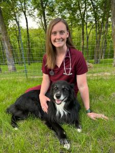 In Home Pet Euthanasia Veterinarian