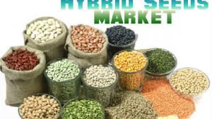 Hybrid Seeds Market Share