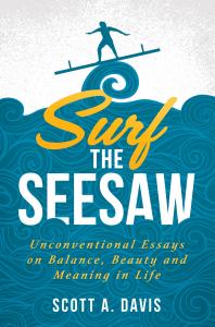 This is a photo of the cover of Surf the Seesaw.