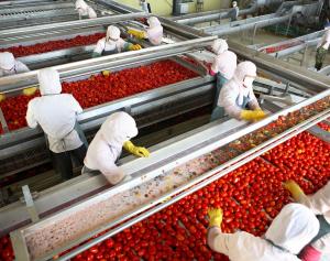 Tomato Processing Market Shaping from Growth to Value