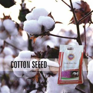 Cotton Seed Industry