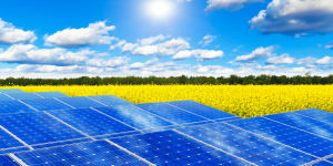 Solar farm