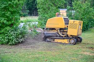 Stump Grinding CT