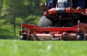 Lawn Care