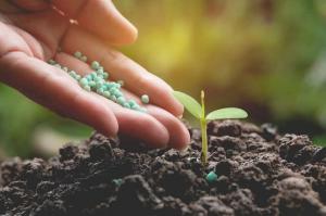 Biological Seed Treatment Market Analysis