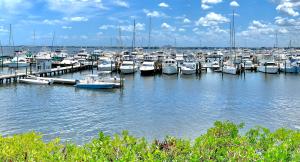 Image of boats docked in Port Saint Lucie