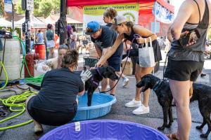 A West Fest Chicago festival-goer favorite: Pet Fest