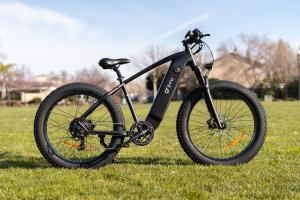 DYU King 750 Ebike