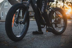 DYU King 750 electric bike