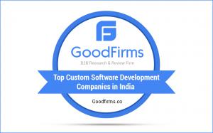 Top Custom Software Development Companies In India