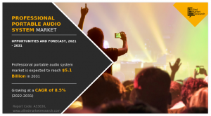 Professional Portable Audio System Market Growth