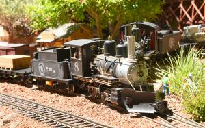 One steam train waits for another to pass