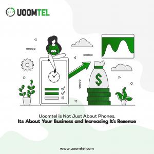 Grow Your Business and Increase It's Revenue