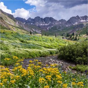 American Basin, off Cinnamon Pass on the Alpine Loop, is one of the most photographed basins in America,