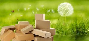 Sustainable Packaging Market