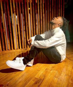 Troyman - American artist/ singer/ songwriter/  record producer / actor