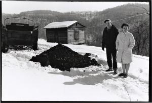 Abrams Nancy L The Rutherfords with Their Coal Fellowsville 1977 Coll Rare Nest Gallery Chgo