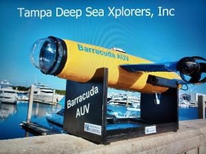 Autonomous Underwater Vehicle