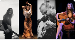 Shows IGF Flamenco Night Images