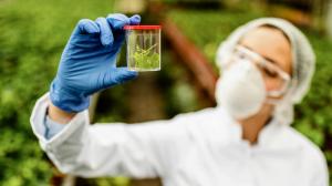 Biopreservation Market- insightSLICE