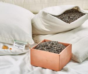 Small Family Owned Organic Bedding Company is Giving Away  2,023 Pillows in 2023