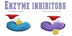 Enzyme Inhibitors Market1