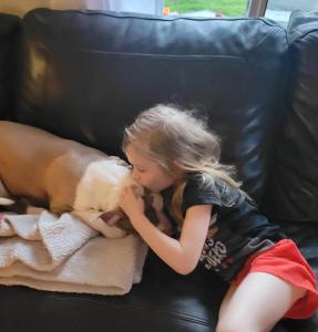 Autism assistance dogs