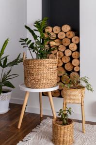Bamboo Furniture Market
