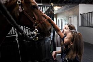 Two young girls enjoy connecting and spending time with one of the horses in Marco Bernal's facility