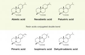 Rosin Acids