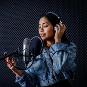 Empowering Actors: Voicereels Introduces Klarna for Flexible Payment Options