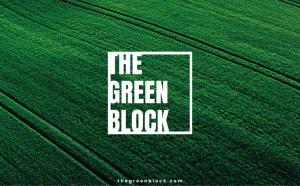 Crypto Oasis Ventures and Roland Berger officially launch “The Green Block”