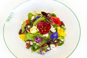 TRIBUTE’s new summer menu features a Sage 'n' Bloom Salad that is as lovely to gaze upon as it is to eat.