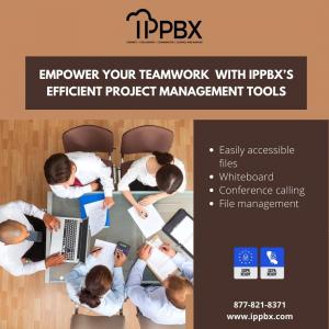 Empower Your Teamwork - IPPBX
