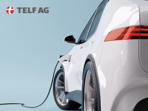 TELF AG, Stanislav Kondrashov, White EV Charging